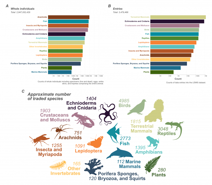 Image 2: This graphic illustrates data from LEMIS on wildlife in trade in the United States, showing the number of individuals traded for each animal group. Image adapted from the journal paper The magnitude of legal wildlife trade and implications for species survival (PNAS, 2025).  