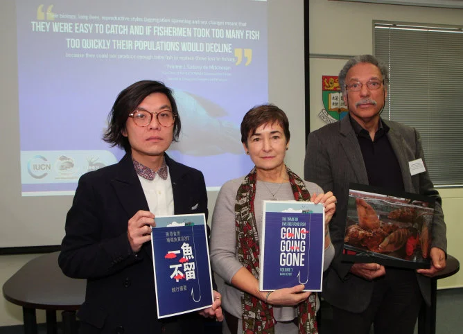 New study sheds light on the the dark side of Hong Kong’s most lucrative seafood trade