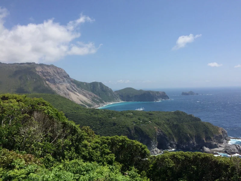 The picturesque Kozu Island. With an approximate 3-10 hour boat ride away from Tokyo, depending on the island, the Izu Islands are easily accessible from the Japanese capital, although inter-island travel is not as flexible. For their field work, the researchers stayed at local family-run guest houses, and travelled to their study sites in the early morning where they searched for lizards until the late afternoon. (Image credit: Félix Landry Yuan)