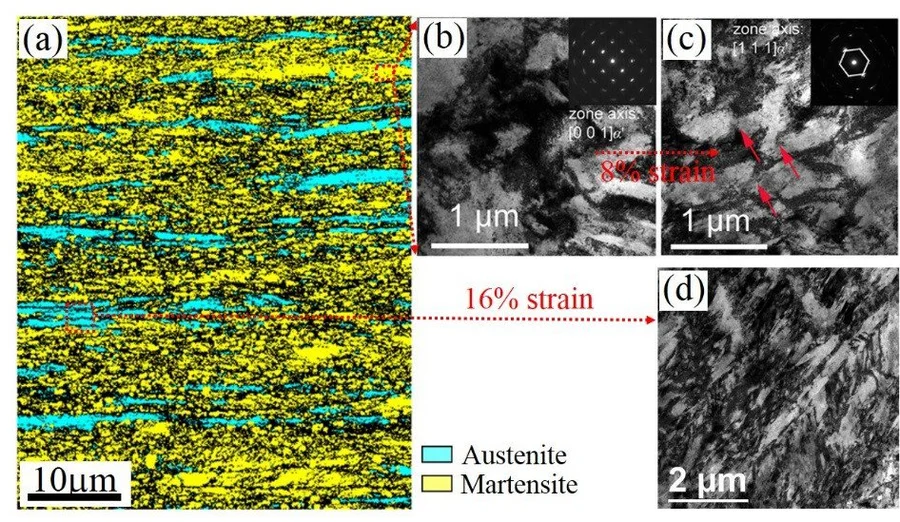 Figure 4  (a) Electron backscatter diffraction (EBSD) phase image showing the lamella microstructure of layered austenite grains () embedded in tempered martensite (') matrix.  (b) The dislocation structures in martensite as enlarged in transmission electron microscopy (TEM) image.  (c) TEM image showing the elongation of dislocation cell structure after the 8% tensile strain.  (d) TEM image confirming the transformation of metastable austenite to martensite after 16% tensile strain.