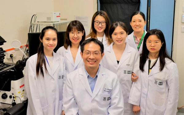 HKUMed identifies a new pathway to prevent invasive cell migration of cancer cells by blocking PI(3,4)P2 lipid synthesis and receptor recycling