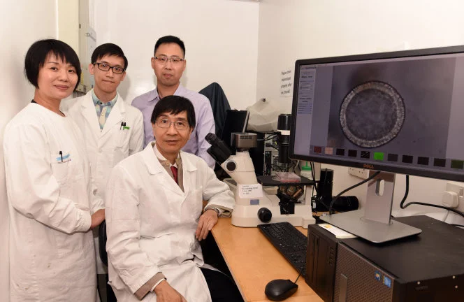 HKU Establishes Mature Airway Organoids for 
Predicting the Infectivity of Emerging Influenza Virus