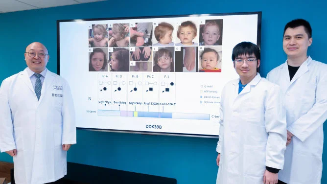 Breakthrough discovery: HKUMed identifies novel gene behind neurodevelopmental syndrome for enhanced clinical treatment