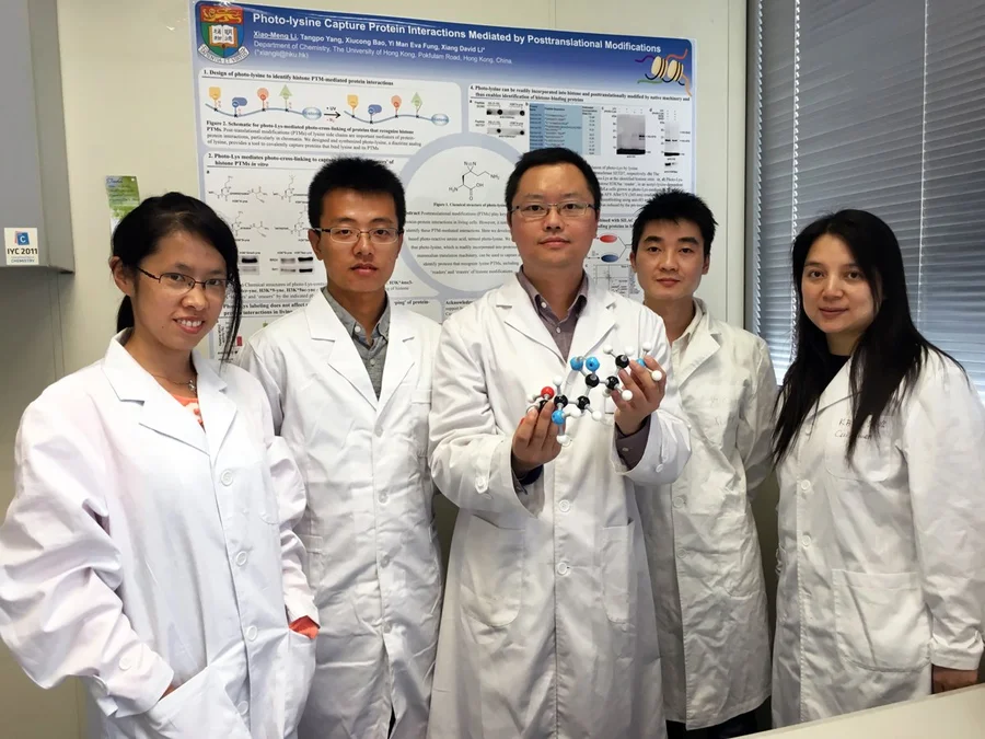Dr Li Xiang’s research team and collaborator at HKU Department of Chemistry: (from the left) Bao Xiucong, Li Xiaomeng, Dr David Li Xiang, Yang Tangpo and Dr Fung Yiman Eva.