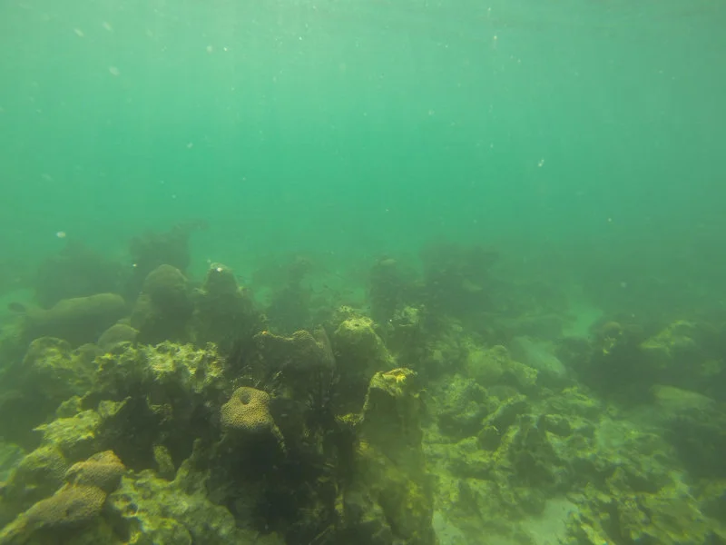 Low visibility is due to Pearl River influence and pollution. (Photo Credit: Dr Jon Cybulski)   