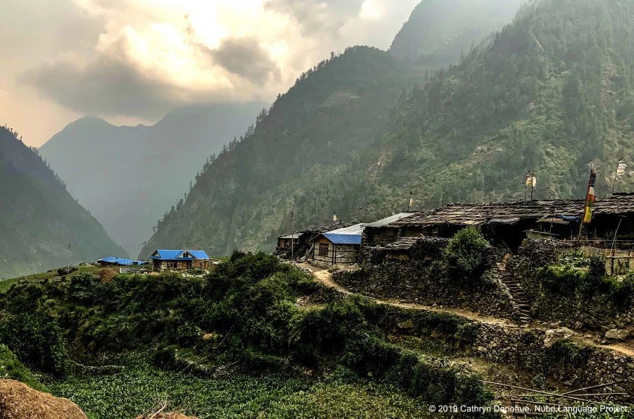 Bihi village is at the east end of Nubri Valley. At only 2000m, it has a temperate climate, allowing a rich selection of crops to grow. However, because of the steep slopes surrounding the village, there is little arable land.  