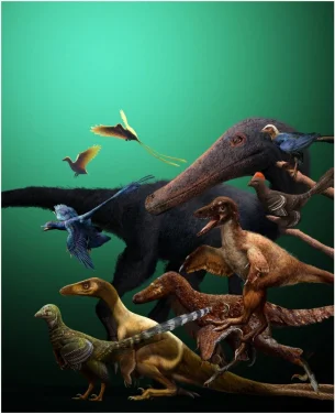Most close relatives of birds neared the potential for powered flight 
but few crossed its thresholds