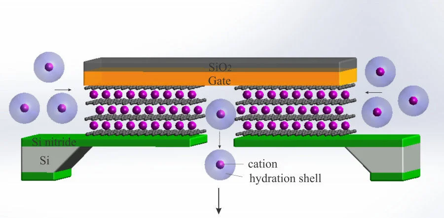 Schematic of the atomic-scale ion transistor made of graphene channels of 3 angstrom size. The electric potential is applied to mimic the electric charge on the walls of biological channels and enables ion intercalation and permeable ion transport beyond a percolation threshold. (Credit: Yahui Xue)