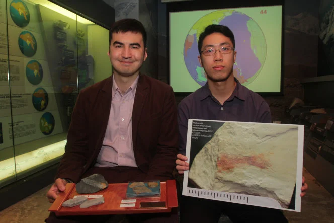 Hong Kong’s first identified dinosaur-era vertebrate 
HKU’s Department of Earth Sciences: the fish Paralycoptera lived in Lai Chi Chong more than 140 million years ago