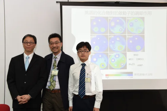 HKU Discovers Novel Non-antibiotic Lead Compound to Suppress Virulence of Methicillin Resistant Staphylococcus aureus (MRSA)