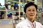 Two HKU Professors receive Outstanding Women Professionals Awards