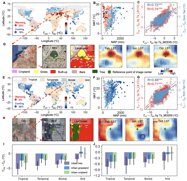 HKU Geography Research Reveals the “Warming Paradox” of Urban Greenery