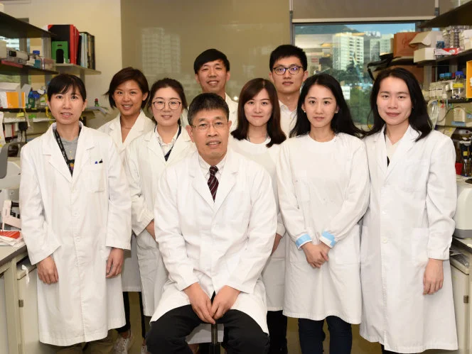 HKU Research Team Identifies Mutation in H7N9 Avian Influenza Virus 
Increasing Human Infection Cases which Provides New Biomarker for Surveillance and Drug Target