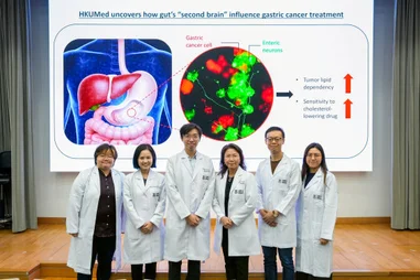 HKUMed cracks gastric cancer’s ‘metabolic code’: 
Tumour growth slowed by 65%, plus a 6.3-fold kill rate with cholesterol inhibitors in neuron-infiltrated cases