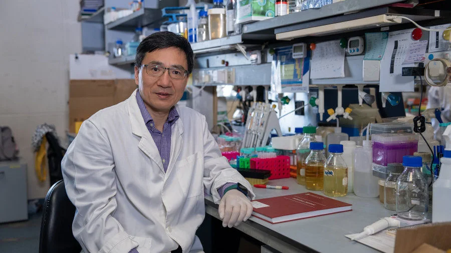 Professor Hongzhe SUN is a leading expert in the ﬁeld of biological inorganic chemistry and metallomics.  