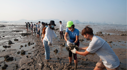 HKU Division of Landscape Architecture