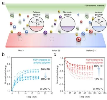 HKU Engineering Researchers Unveil New Insights into Ion-Driven Charge Transfer