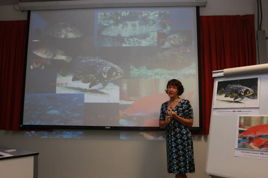 At least 20 popular species of groupers accounting for twelve percent of the fish are facing extinction