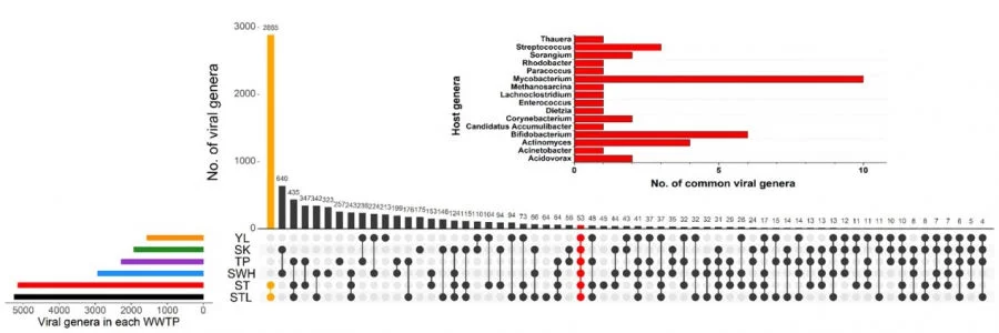 Shared viral genera in six WWTPs in Hong Kong.  