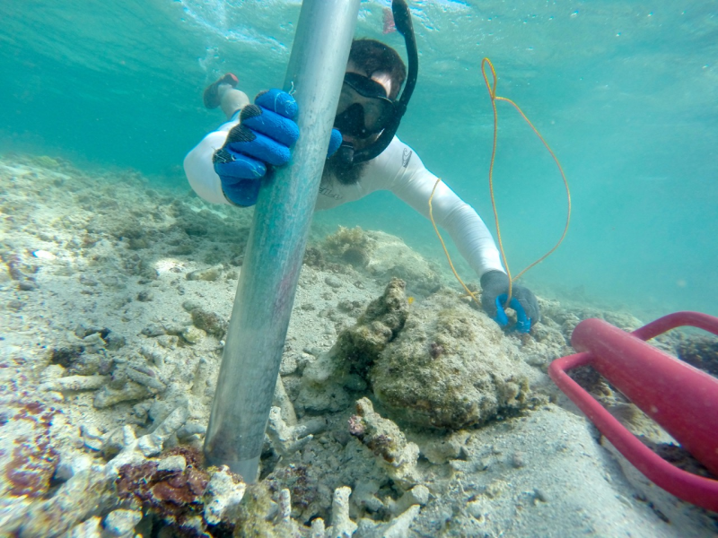 Cybulski collecting a “fossil time machine” or coral reef sediment core.  (Photo credit: Dr Kiho Kim)  