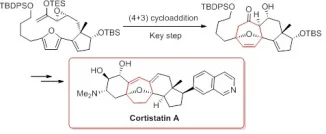HKU chemists develop new strategy to synthesize molecule 
that could help mitigate cancer tumour development