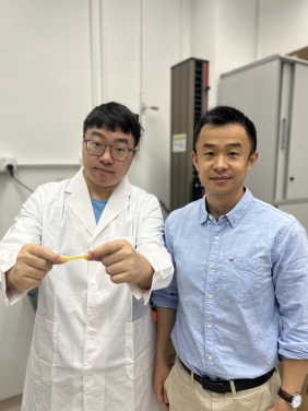 HKU Mechanical Engineering team develops multifunctional tendon-mimetic hydrogels