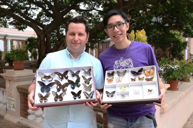 The first urban park butterfly study in HK:
HKU ecologists reveal causes of butterfly diversity