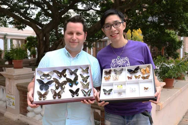 The first urban park butterfly study in HK:
HKU ecologists reveal causes of butterfly diversity