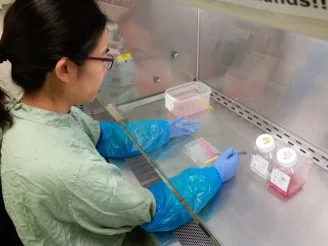 HKU School of Public Health and Department of Pathology 
use new therapeutic strategy to improve the treatment of MERS