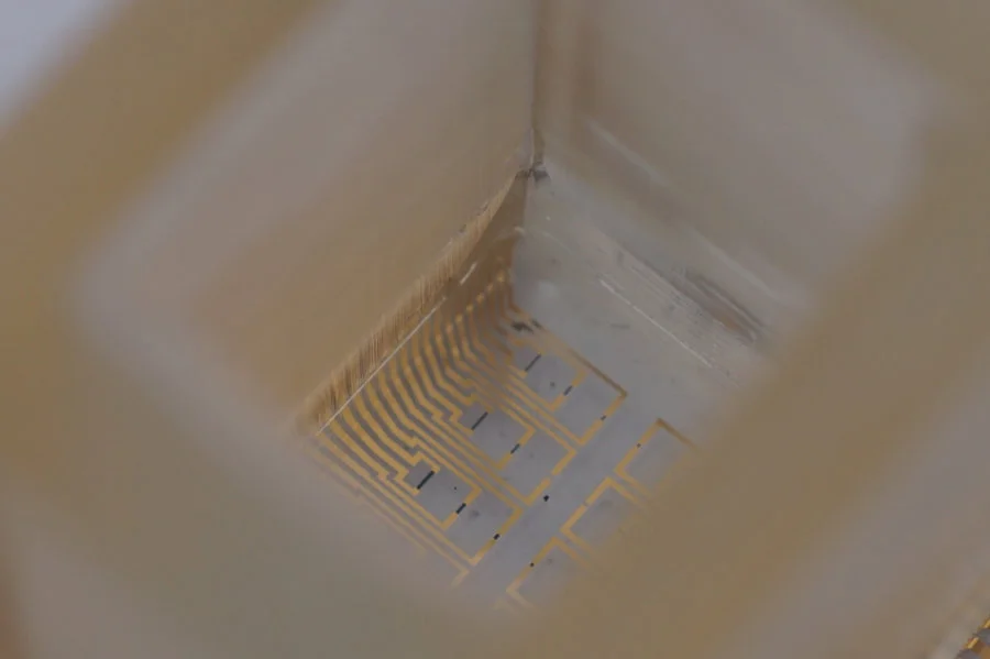 The organic electron chemical transistor with memory properties   