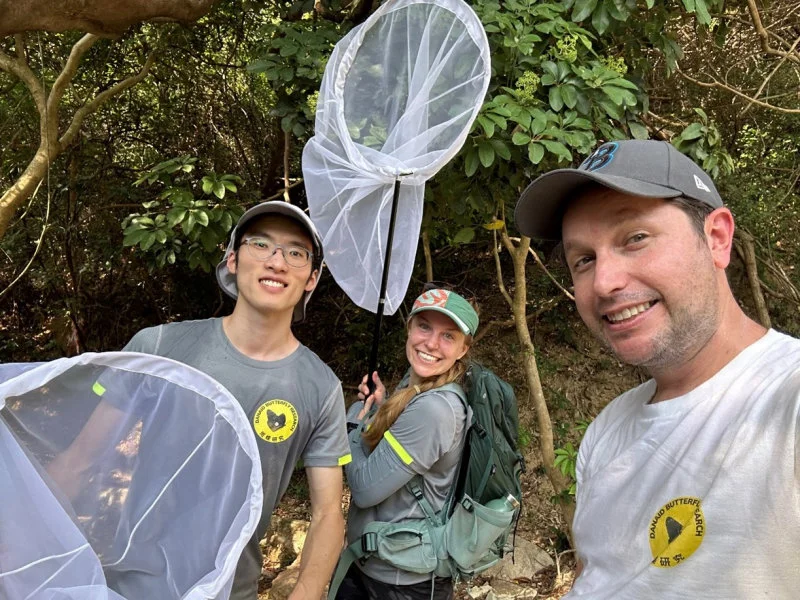 Figure 4: Team leaders of the Danaid Butterfly Research Hong Kong: (from left to right) Yuet Fung Ling, Emily Jones and Timothy Bonebrake. Photo courtesy: Timothy Bonebrake.  