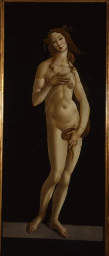 Sandro Botticelli’s Venus –
An Italian High Renaissance