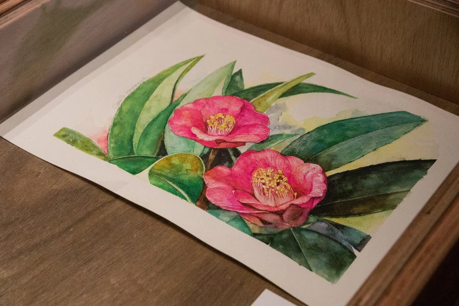 Highlighted Exhibits

Watercolour  painting   of  Hong  Kong  Camellia (2021)
By Human Ip
On loan from Human Ip
