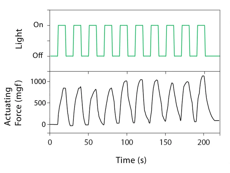 Figure 1 Actuating force of a 0.3-mg nickel hydroxide-oxyhydroxide actuator of under periodic light can reach about 1000-mg.