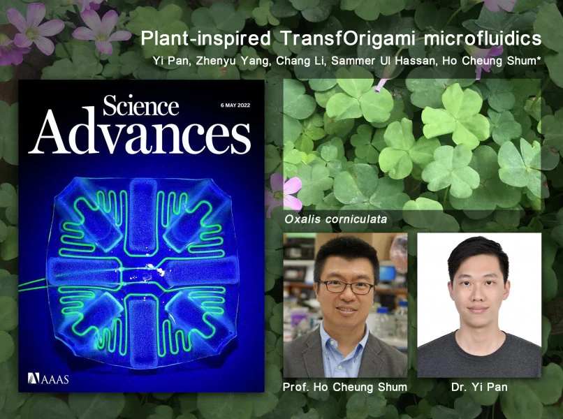 The paper “Plant-inspired TransfOrigami microfluidics” has been featured on the cover of Science Advances for May 6 2022 issue. The research team (from left) Professor Anderson H.C. Shum and Dr Yi Pan from the Department of Mechanical Engineering, HKU. The background image is Oxalis corniculata.  