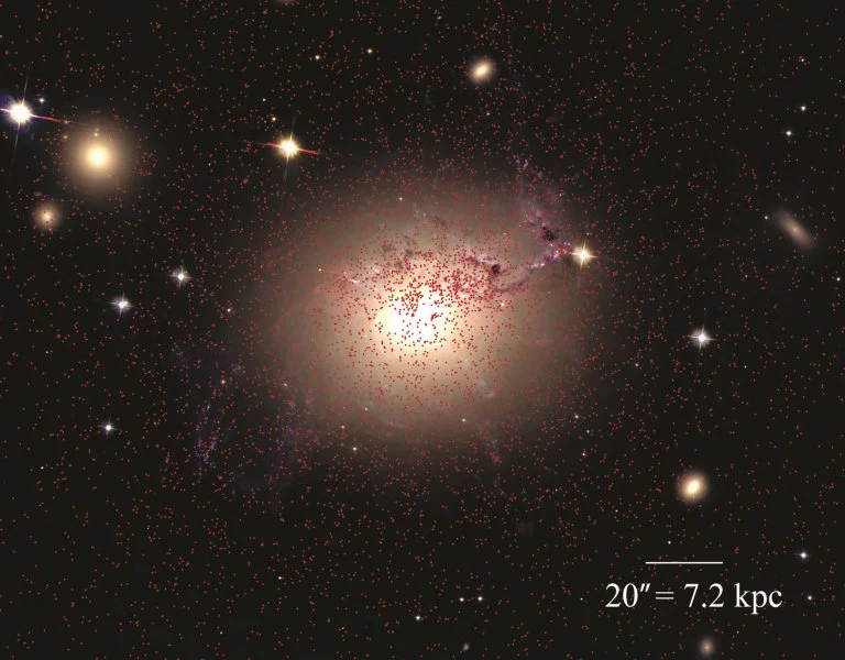 Old globular clusters (ages up to 10 billion years or more) are indicated by the red dots.  These globular clusters are randomly distributed around the giant galaxy at the center of the Perseus galaxy cluster; this galaxy is the large gray to white oval at the center of the picture.  Round or oval objects, also colored gray to white, are smaller galaxies that are part of the same galaxy cluster.