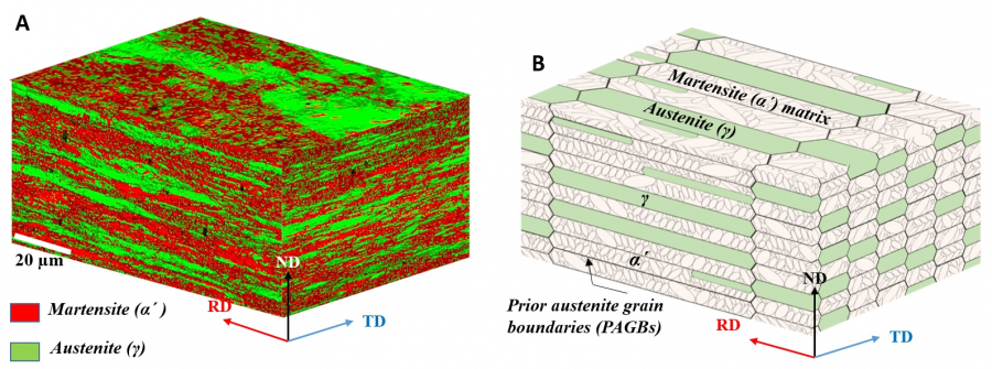 Figure 1. (A) The 3-D stereographic microstructure of the present D&P steel. (B) Schematic 3-D model illustrates the lamellar microstructure of the D&P steel.