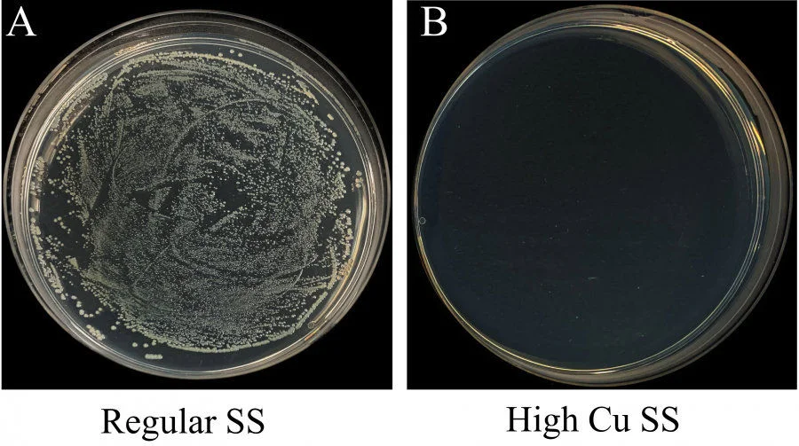 Figure 3. Photos of typical bacterial colonies on A) regular SS and B) the high Cu SS (20 wt%)  