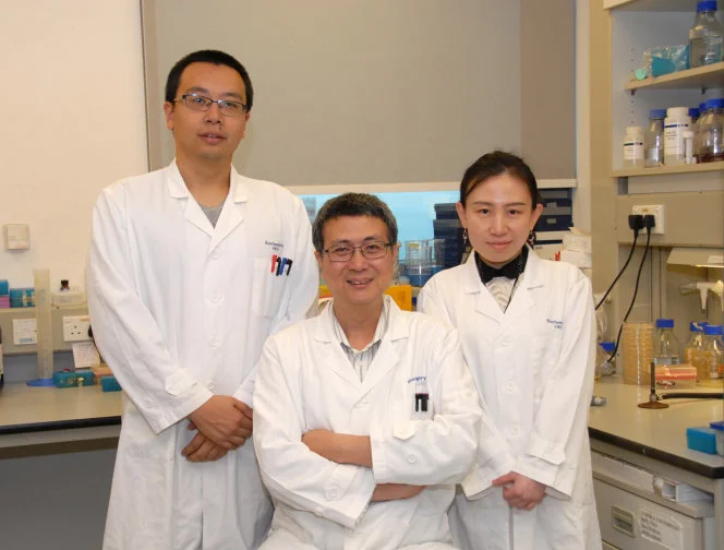 HKU Scientists Effectively Suppress Tumour Growth 
by Converting Salmonella into YB1 Anaerobe Bacterium