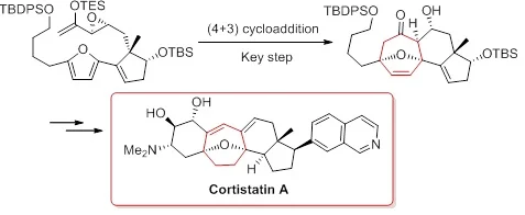 Key step in the synthetic route to cortistatin A