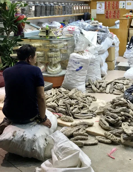 Many marine species are traded at high volumes and values and without species-level data – a scenario in which over-exploitation can go unnoticed. Photo courtesy: Astrid Andersson