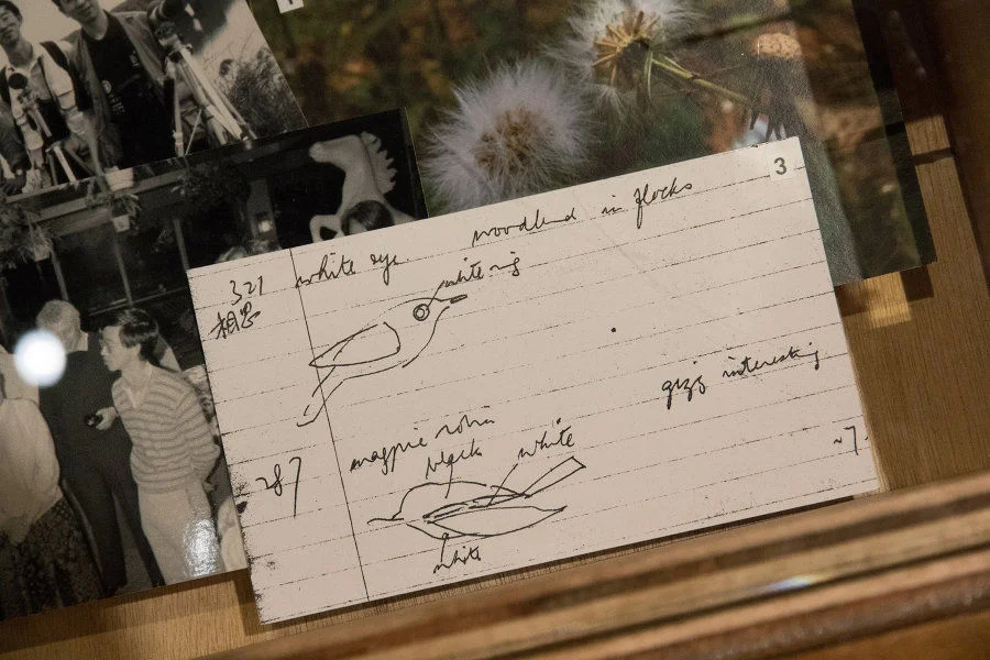 Highlighted Stories of Contemporary Amateur Naturalists

Lam’s notes from a lecture on bird watching in 1976.
© Lam Chiu Ying