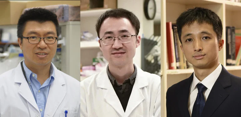 Three distinguished HKU academics receive Croucher Innovation and Senior Research Fellowship Awards