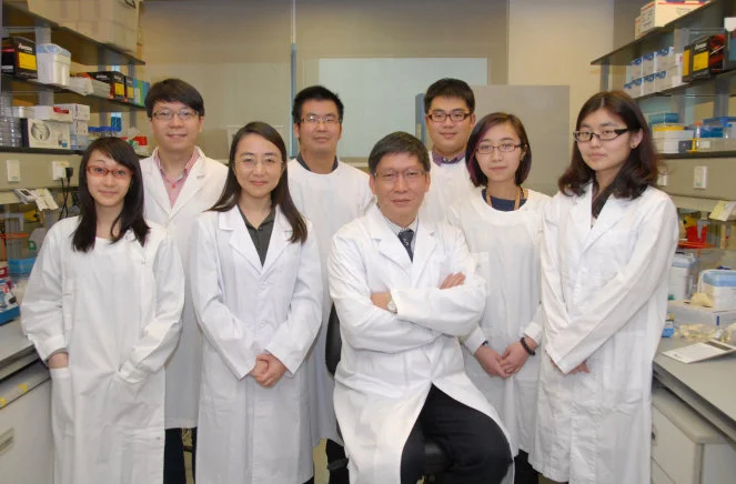 HKU scientists find the H7N9 influenza virus enzootic in poultry Study published in prestigious international scientific journal, Nature