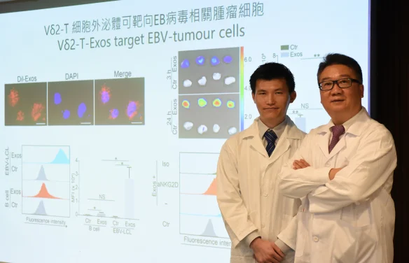 HKUMed develops a novel therapeutic approach against Epstein-Barr virus-associated tumours by using exosomes derived from Vδ2-T cells