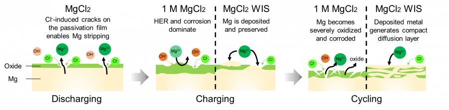 Schematic structure of the aqueous Mg battery developed by the research team
