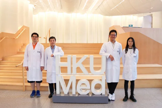HKUMed uncovers key mechanism linking microtubules and chemotherapy, enhancing cancer drug efficacy