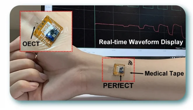HKU Engineering research team develops coin-sized wearable biosensing platform for digital health