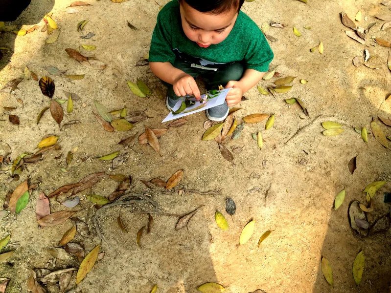 The Play&Grow programme connects preschool children to nature