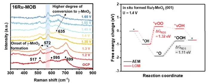 HKU Engineering Team Unveils Self-protecting Catalyst  Advancing Durable and Affordable Green Hydrogen